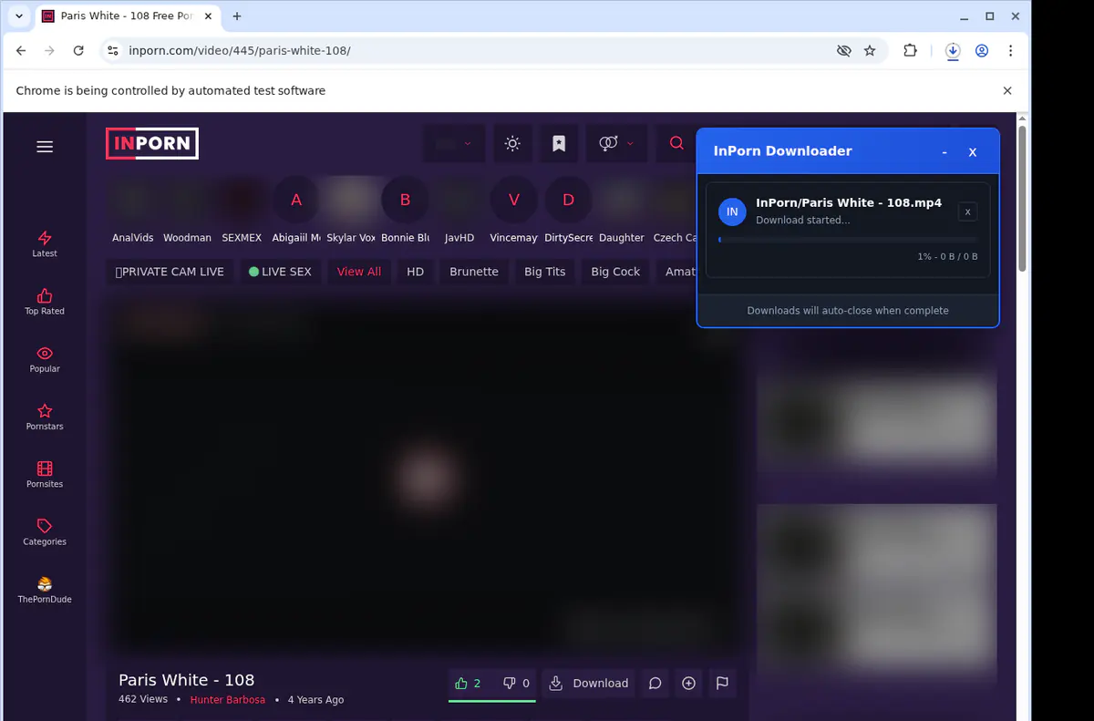 Inporn Video Downloader browser extension screenshot 2
