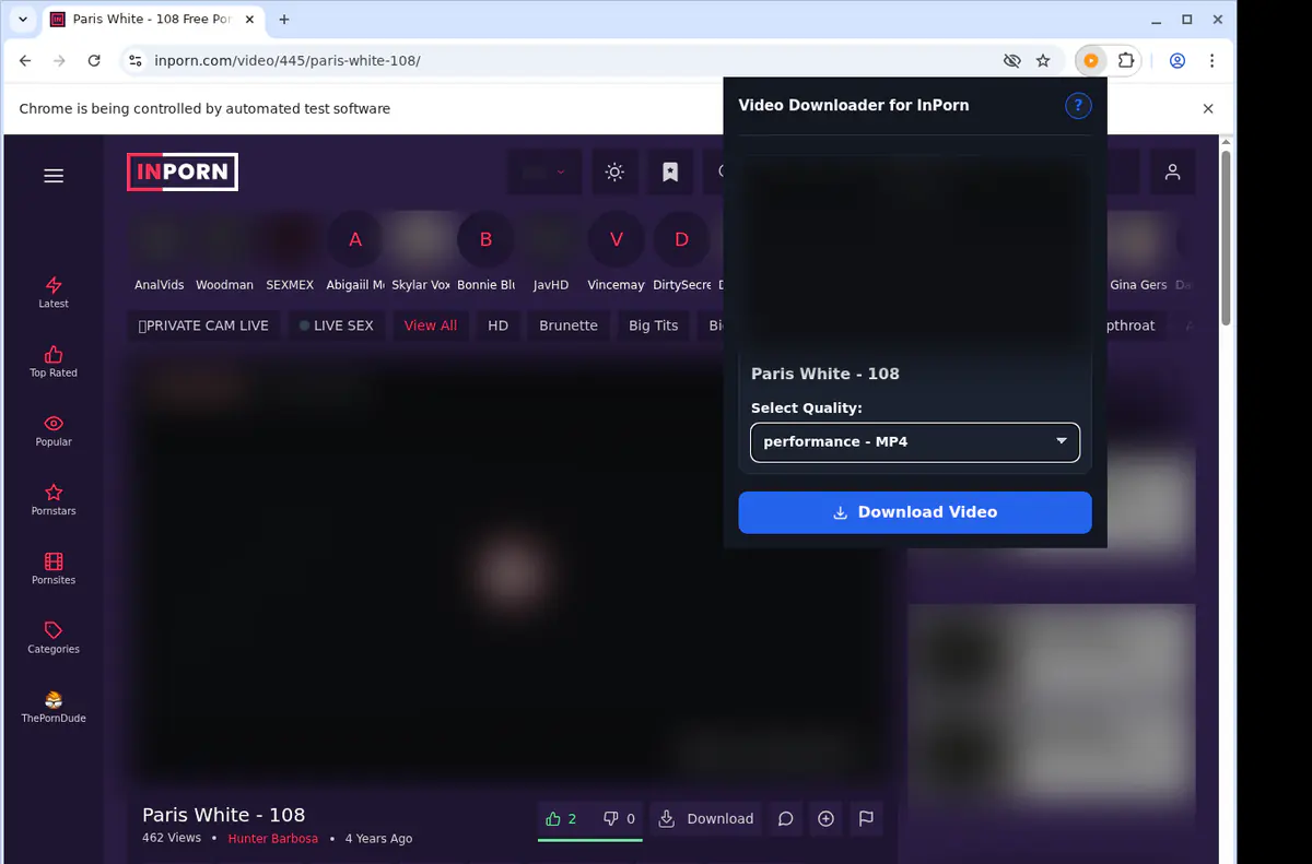 Inporn Video Downloader browser extension screenshot 3