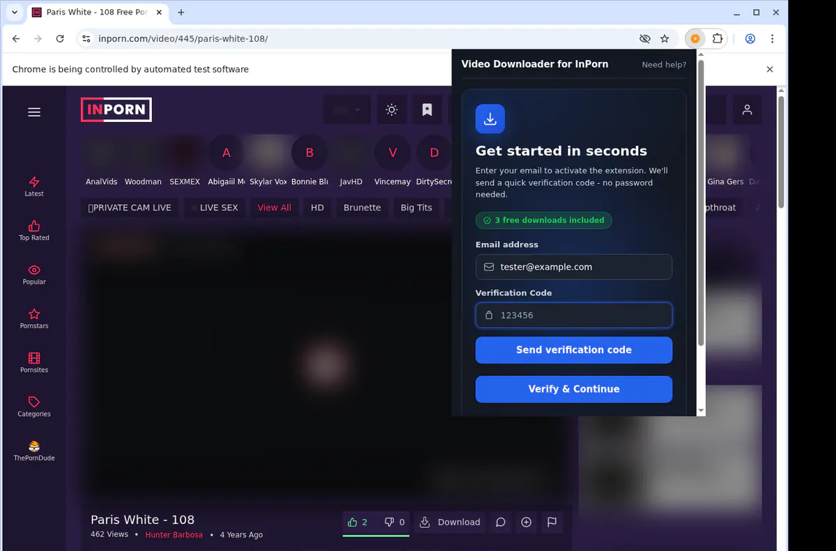 Inporn Video Downloader browser extension screenshot 4